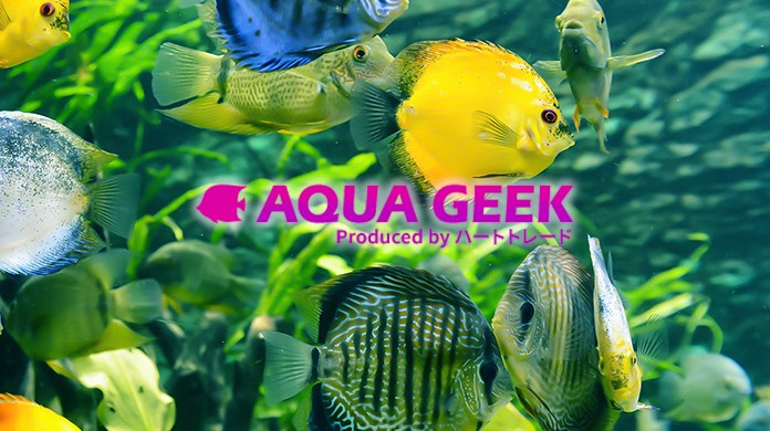 川口市のAQUA GEEK｜鑑賞魚飼育用品